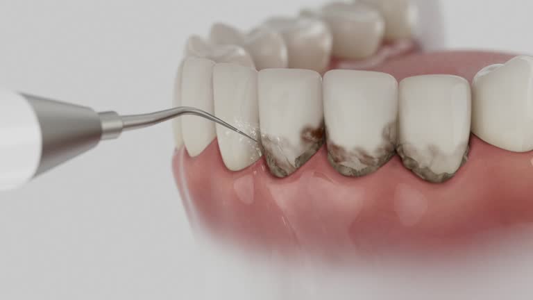 Reliable Dental contractor in Gosport, IN by Dentist Open Now